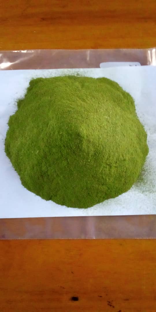 Putter Organic World